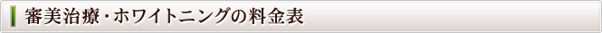 審美治療・ホワイトニングの料金表