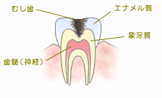 C2